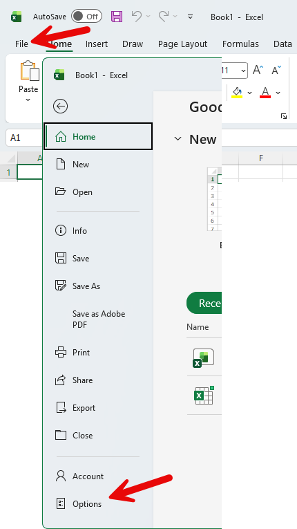 Excel File menu showing Options button